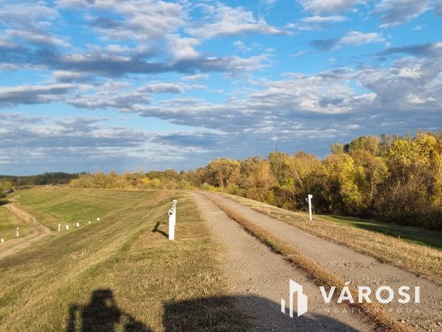 Vízpart közeli telken, kiváló szerkezetű tégla ház eladó