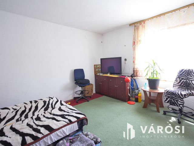 Sándorfalván, kettő az egyben