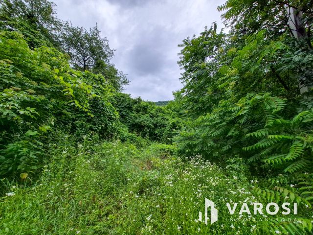 Eladó panorámás zártkerti telek Csókakőn