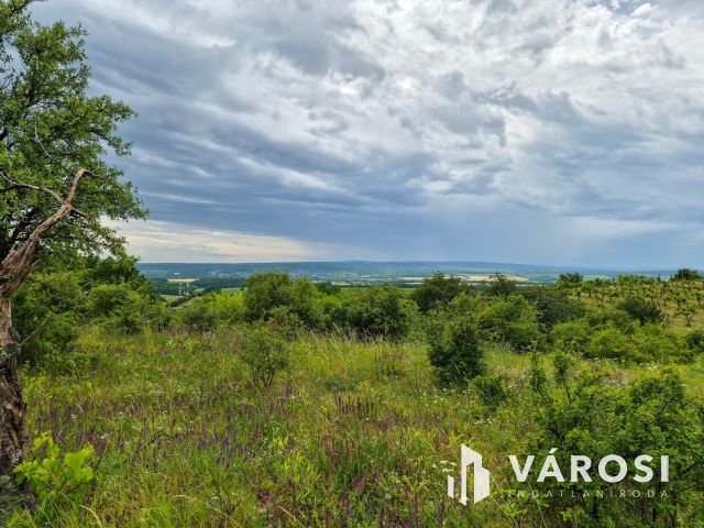 Eladó panorámás zártkerti telek Csókakőn