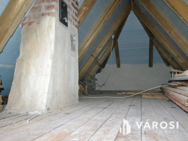 Litéri családi ház egy lakás áráért!