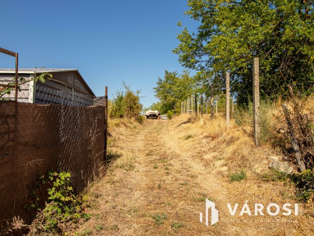 Ritka lehetőség Tinnyén – 859 m²-es telek